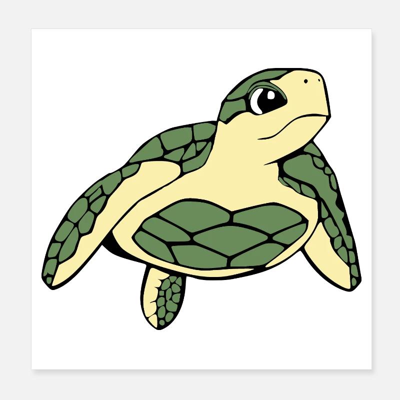 Turtle Turtles Poster 8" x 8" (20x20 cm)