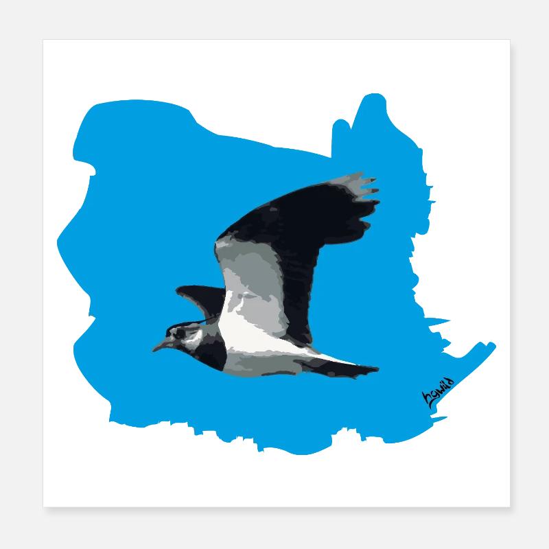 Lapwing (Vanellus vanellus) in flight (BG blue) Poster 8" x 8" (20x20 cm)