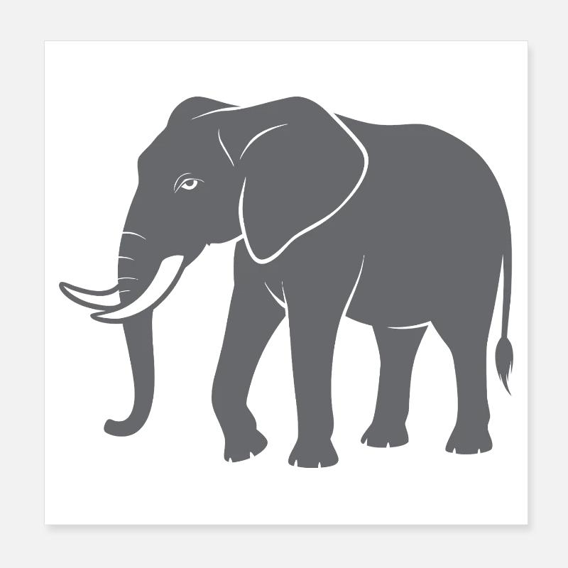 Elefant Poster 20x20 cm