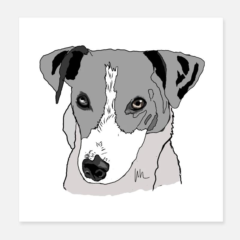 Jack Russel Terrier - Poster 8" x 8" (20x20 cm) - white