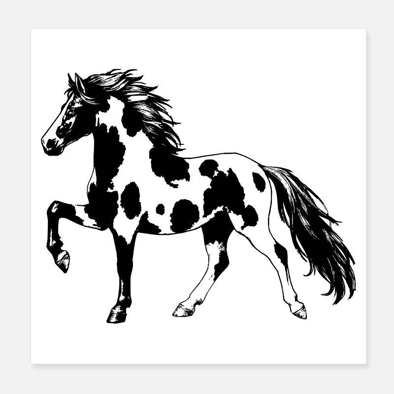 Edles Islandpferd im Tölt Schecke Damen Mädchen Poster 20x20 cm