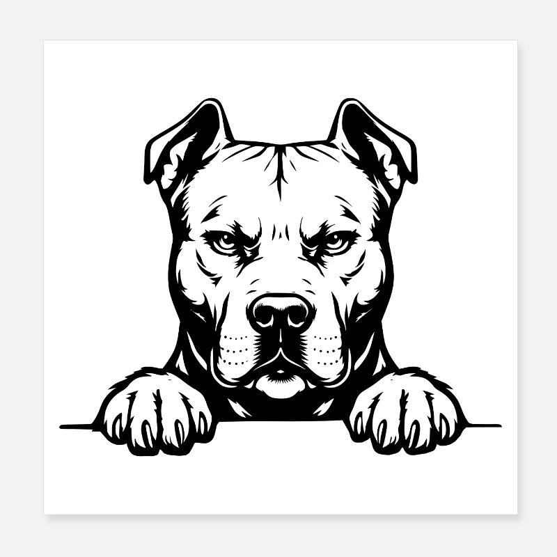Pitbull Kopf mit Pfoten Poster 20x20 cm