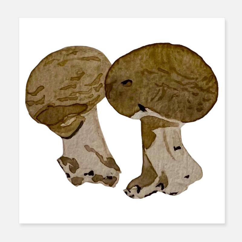 Champignons à l' aquarelle  Poster 20 x 20 cm