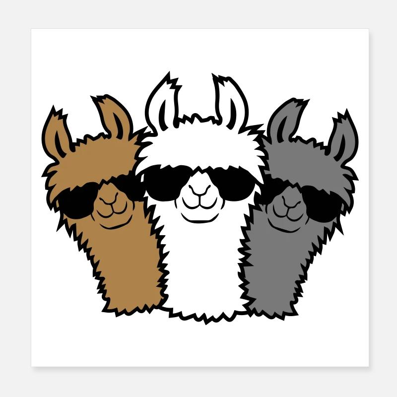 3 Lama Freunde Poster 20x20 cm