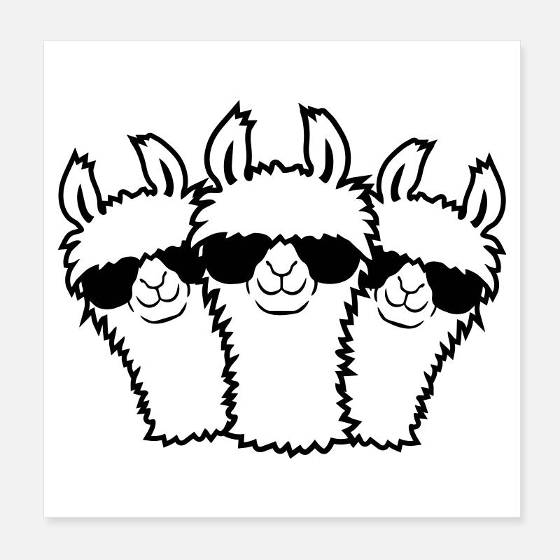 Équipe 3 lama Poster 20 x 20 cm