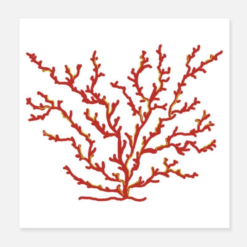 coral Poster 8" x 8" (20x20 cm)