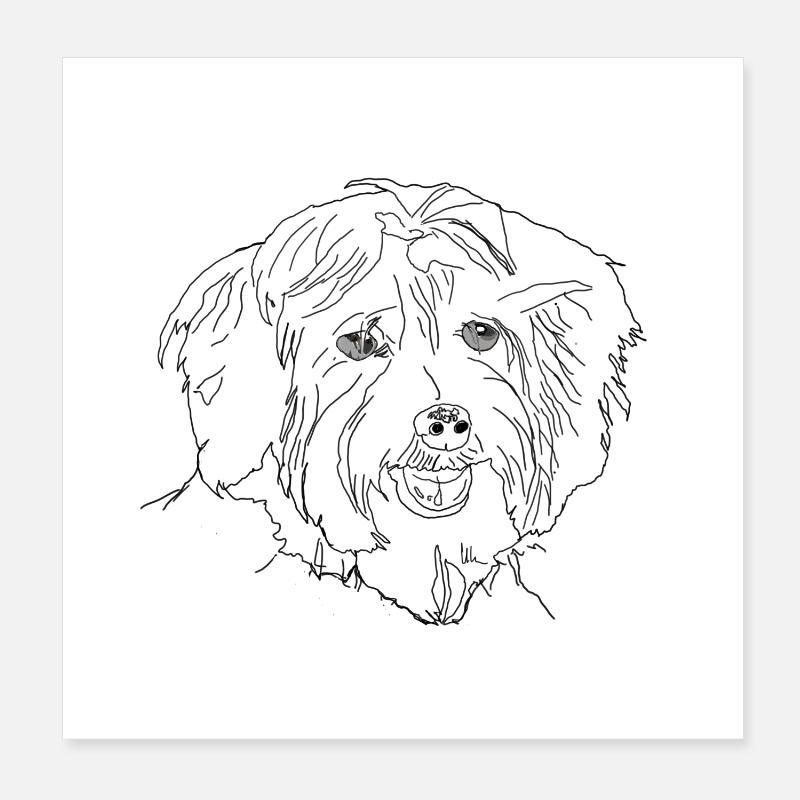 Havanese Poster 8" x 8" (20x20 cm)