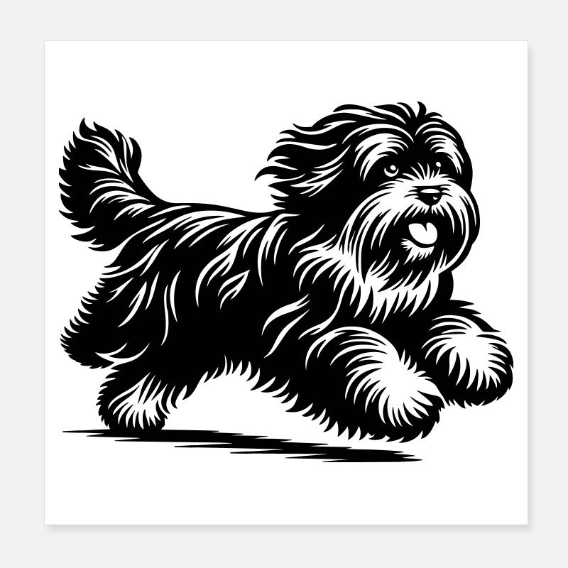 Terrier tibétain Poster 20 x 20 cm