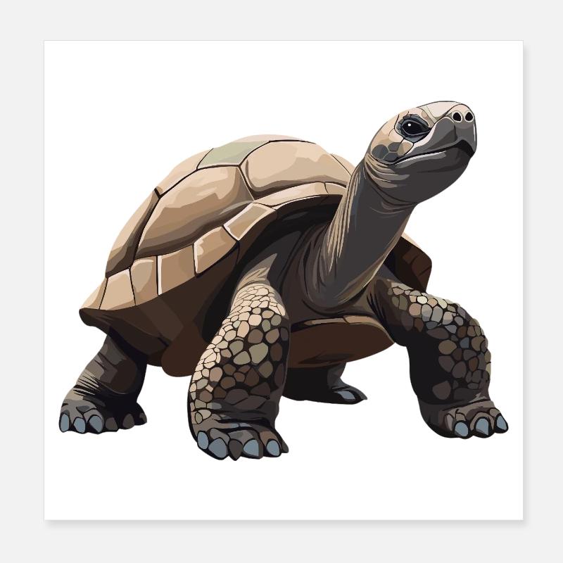 Tortues Tortue Poster 20 x 20 cm