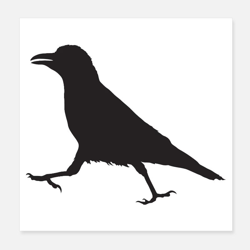 Krähe I - Poster 20x20 cm - Weiß