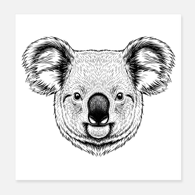 Koala Poster 20x20 cm