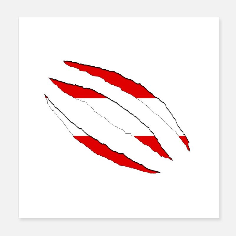 Austria claws cracks flag torn open Poster 8" x 8" (20x20 cm)