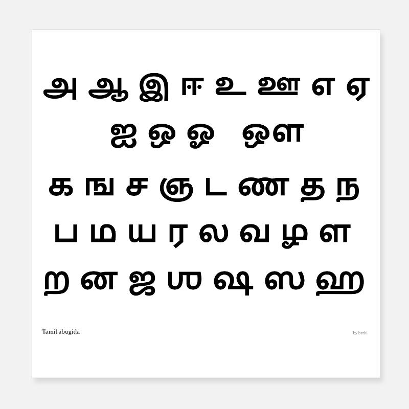 Tamoul Abugida (noir) - Poster 20 x 20 cm - blanc
