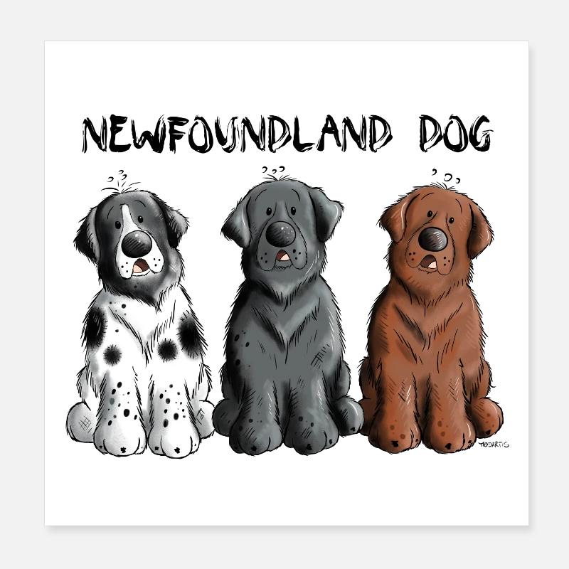 Terre-Neuve Poster 20 x 20 cm