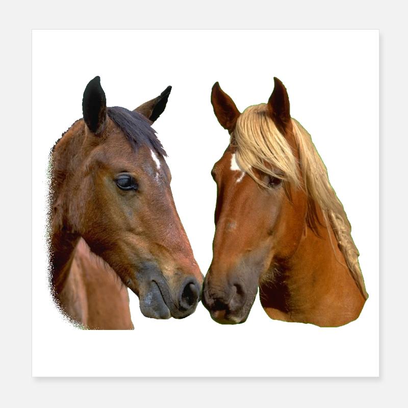 Les chevaux jumeaux s’embrassent Poster 20 x 20 cm
