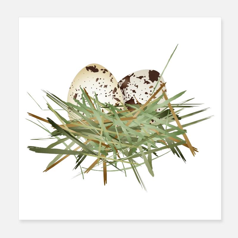 two quail eggs in the hay nest Poster 8" x 8" (20x20 cm)