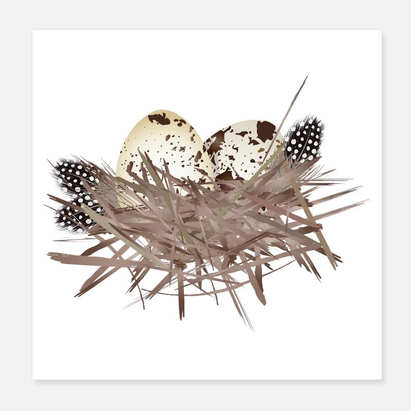 Œufs de caille dans le nid avec plumes de pintade Poster 20 x 20 cm