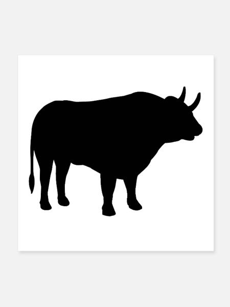 Stier Silhouette - Poster 20x20 cm - Weiß - Vorne