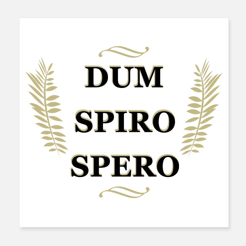 Dum Spiro Spero, citation latine Poster 20 x 20 cm