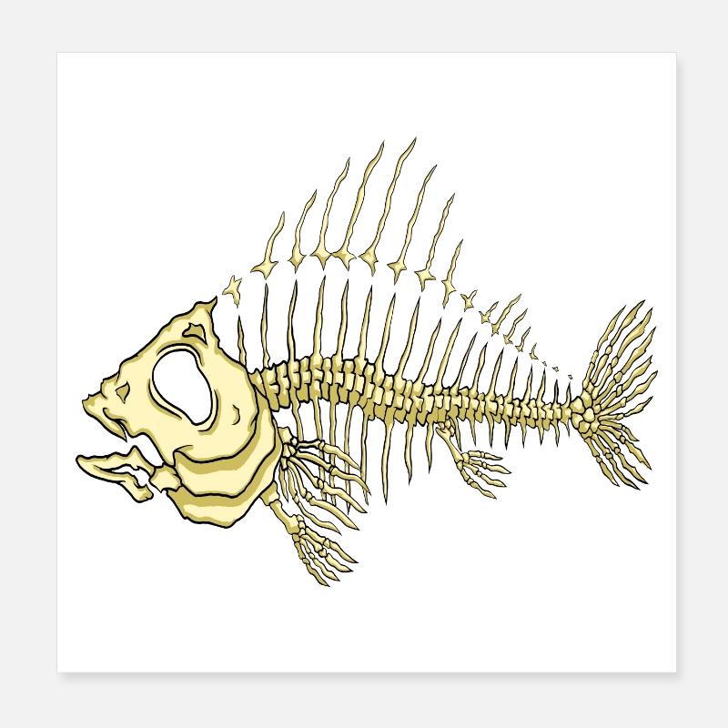 Fisch Poster 20x20 cm