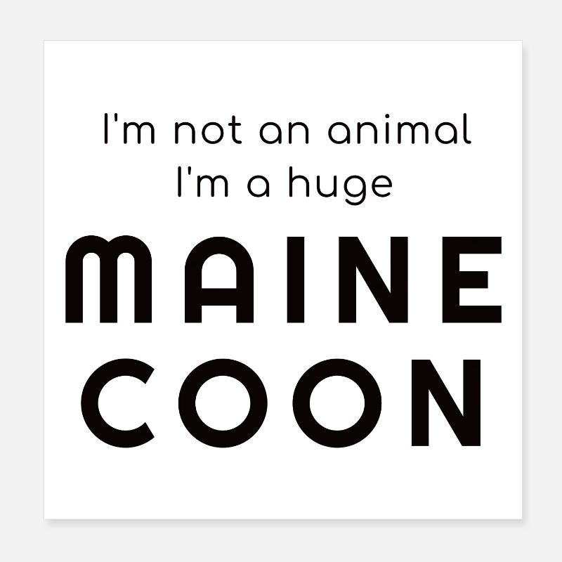 Ich bin kein Tier - ich bin riesig Maine Coon - Poster 20x20 cm - Weiß