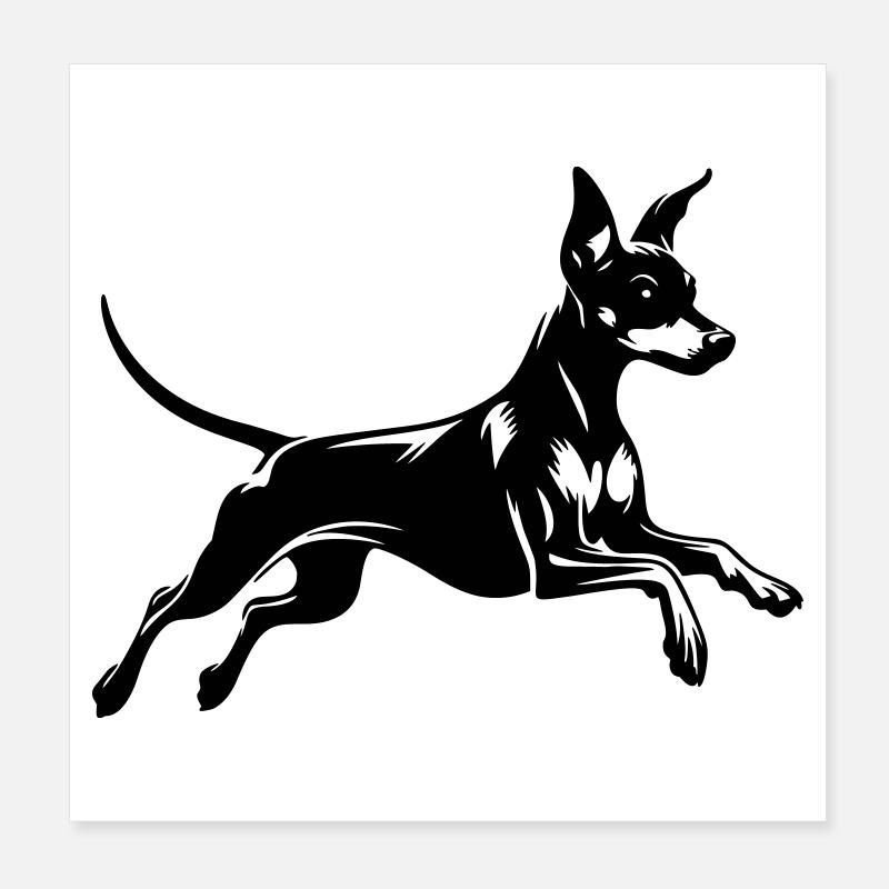 Pinscher nain Poster 20 x 20 cm