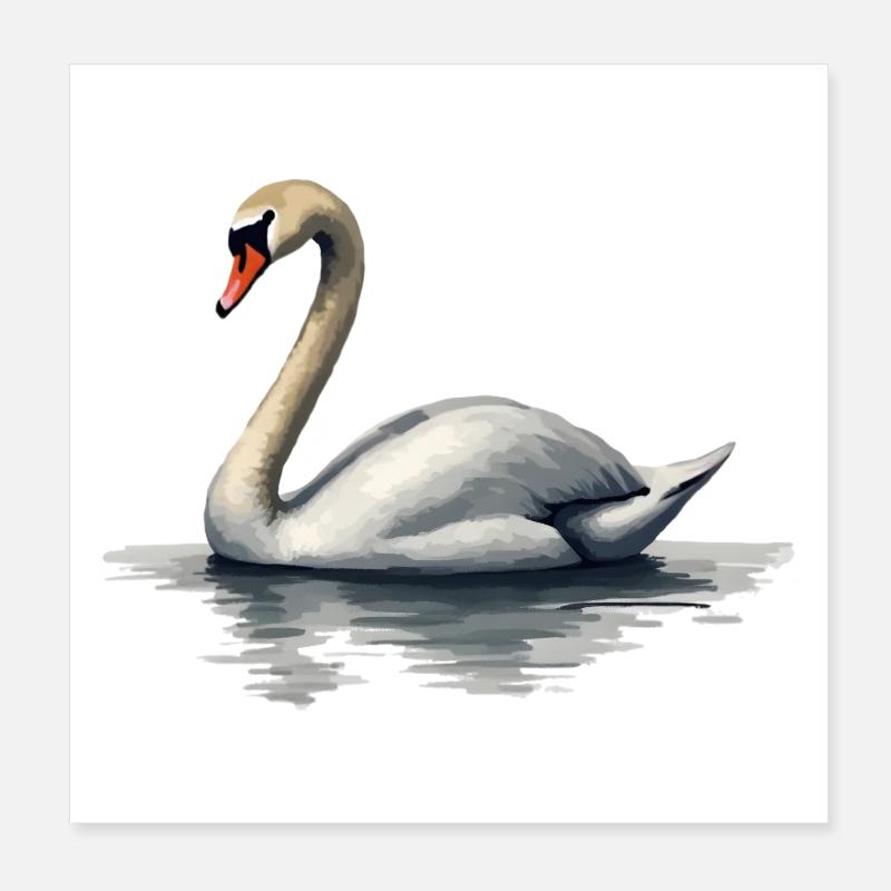 Schwan Poster 20x20 cm