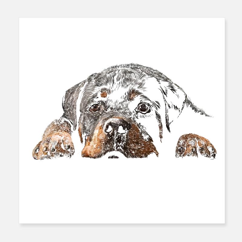 Rottweiler Poster 20 x 20 cm