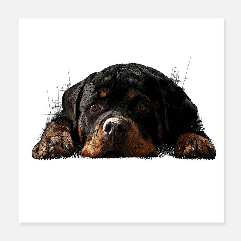 Rottweiler Poster 8" x 8" (20x20 cm)