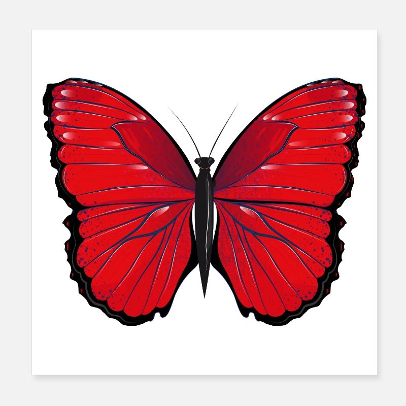 red butterfly hand-drawn and coloured Poster 8" x 8" (20x20 cm)