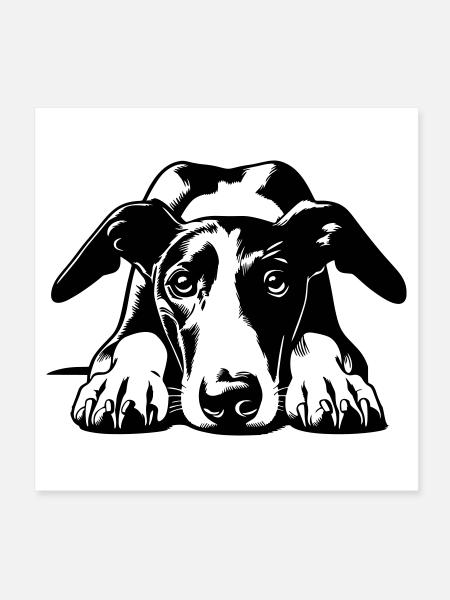 Tête de Galgo avec pattes - Poster 20 x 20 cm - blanc - Devant