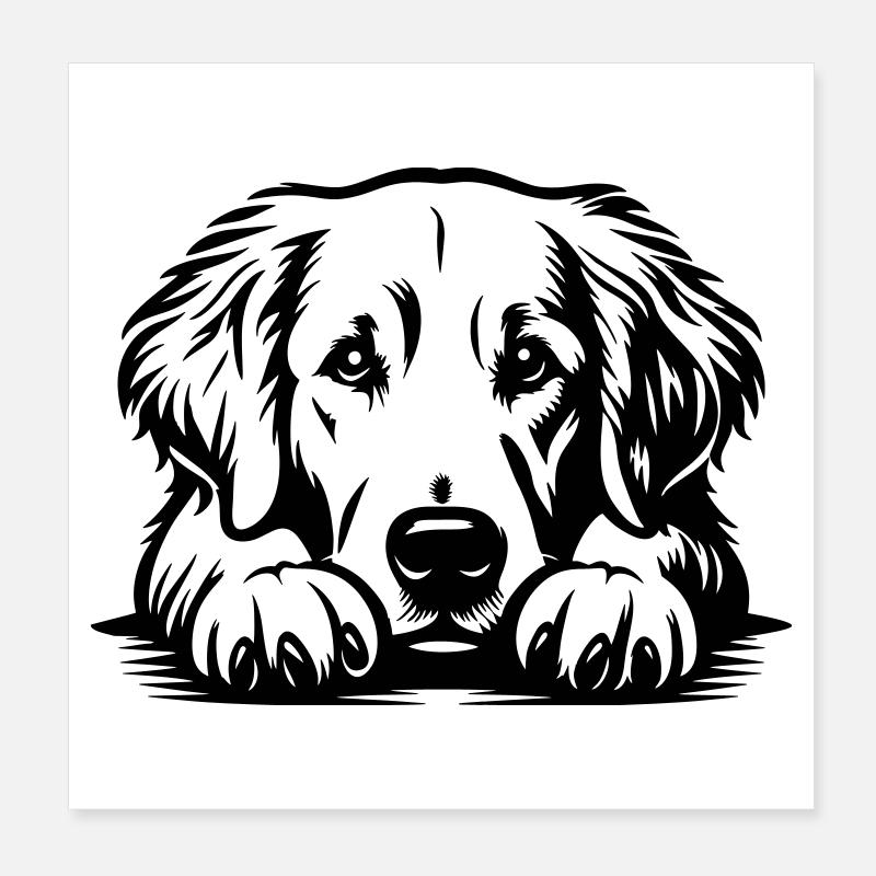 Golden Retriever Kopf mit Pfoten Poster 20x20 cm