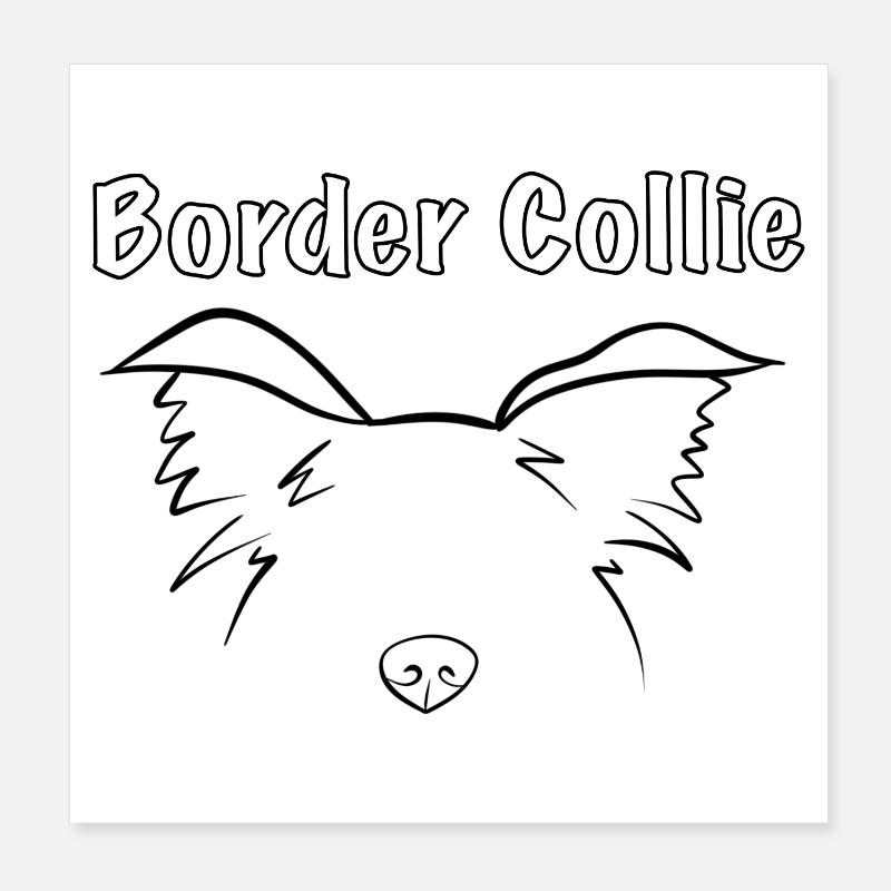 Border Collie Poster 20 x 20 cm