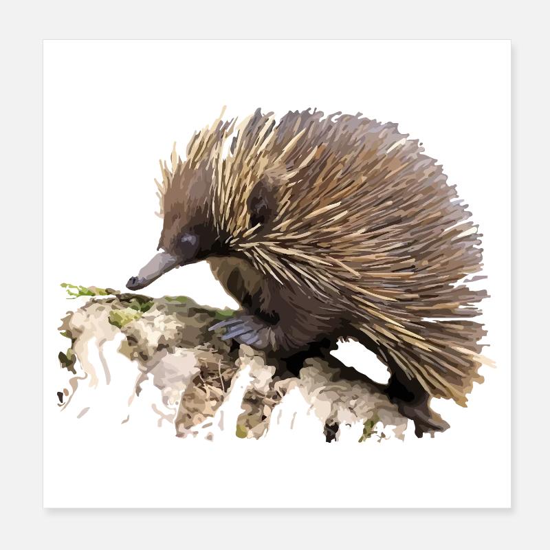 Hérisson en aquarelle sur rocher Poster 20 x 20 cm