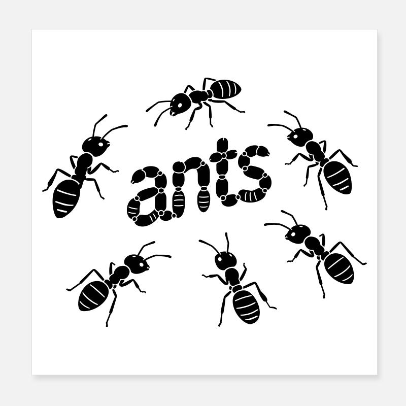 Ameisen Poster 20x20 cm