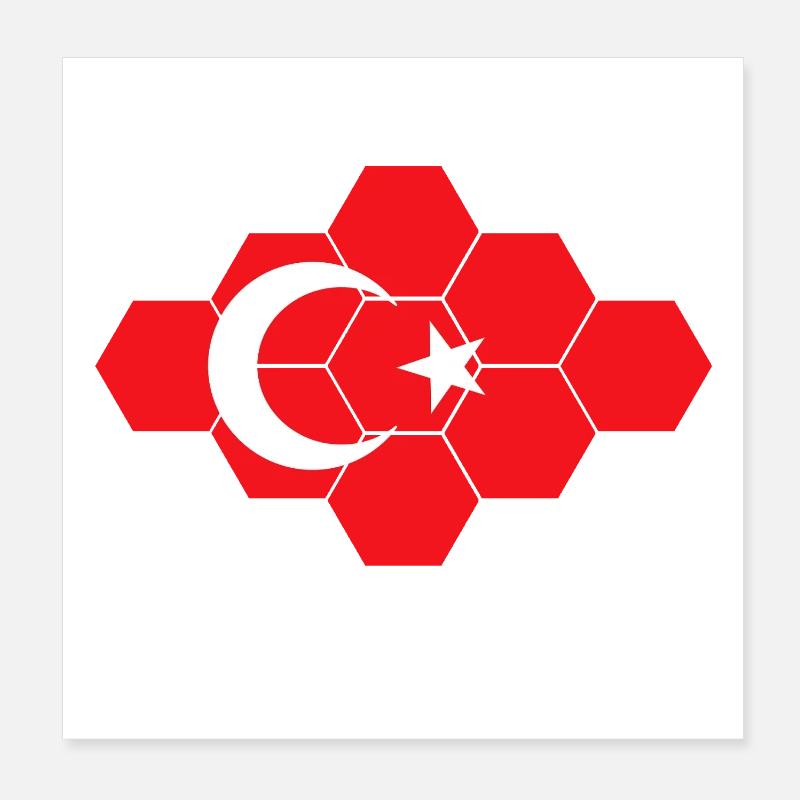 Art du drapeau hexagonal de Turquie Poster 20 x 20 cm