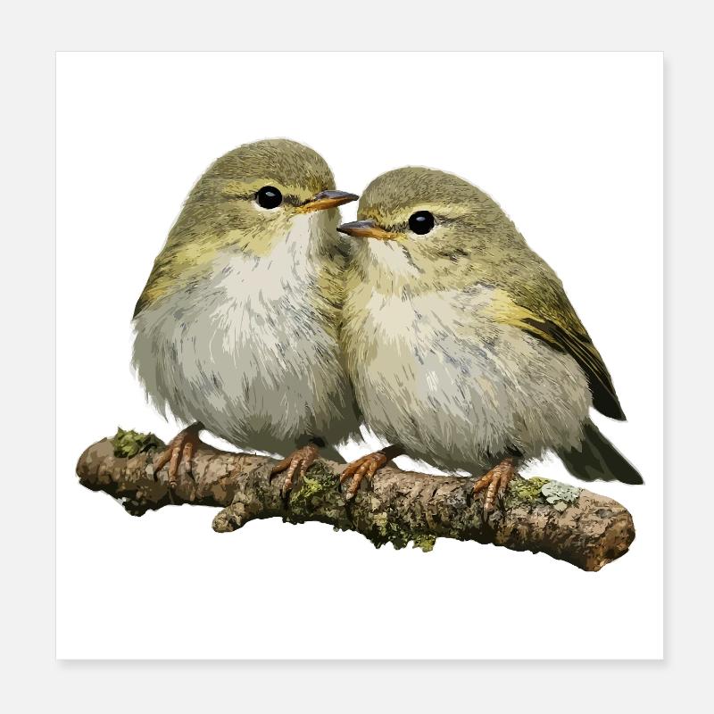 Chiffchaff auf Ast küssen Poster 20x20 cm