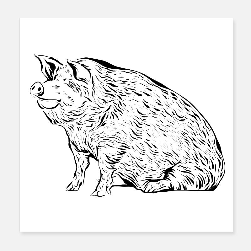 Schwein Schweine Poster 20x20 cm