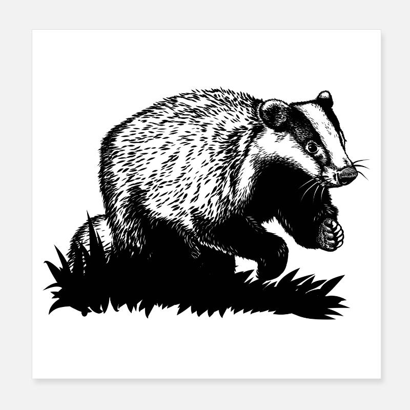 Badger at a gallop Poster 8" x 8" (20x20 cm)