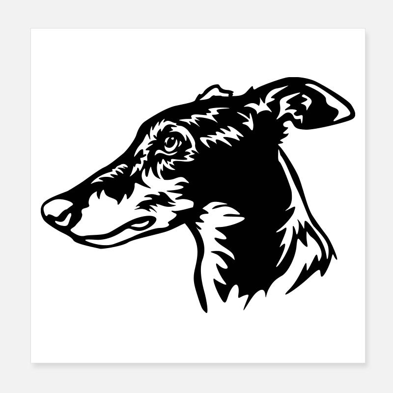 Greyhound Kopf Poster 20x20 cm