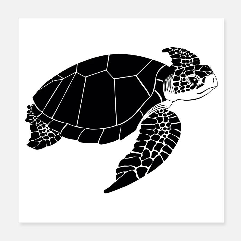 Schildkröte Schwarzweiß Poster 20x20 cm