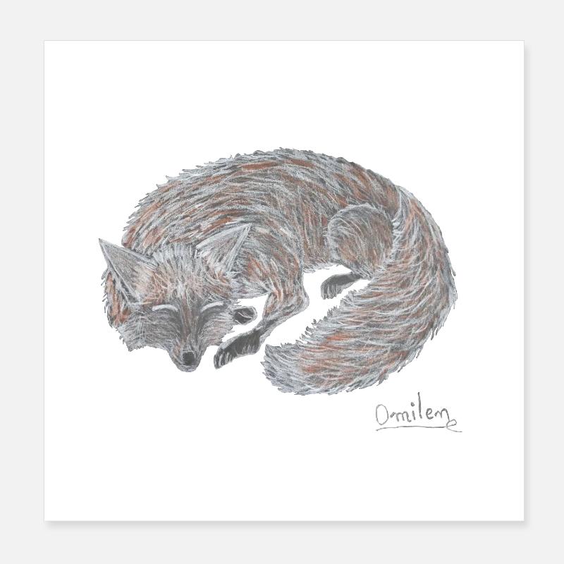 Le renard dort Poster 20 x 20 cm