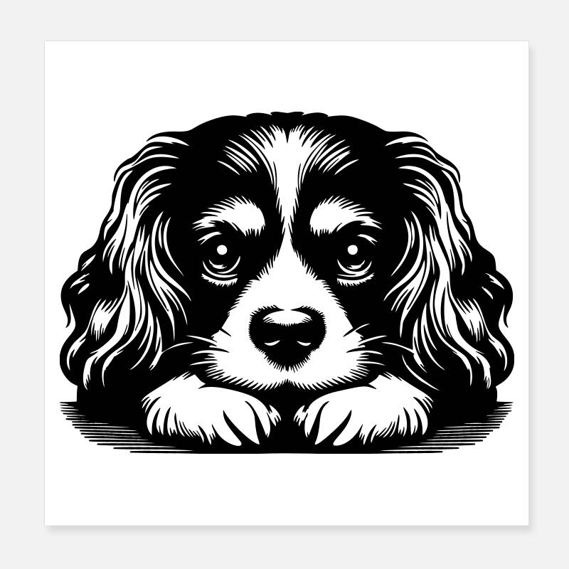 Cavalier King Charles Spaniel Kopf mit Pfoten Poster 20x20 cm