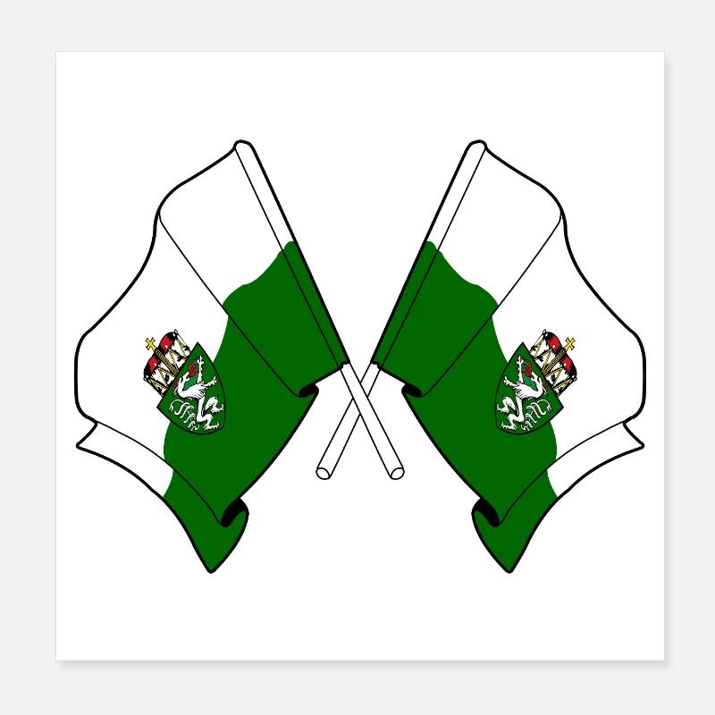 Drapeaux croisés de la Styrie Poster 20 x 20 cm