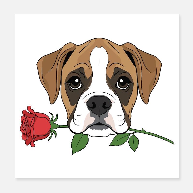 Petit chien boxer mignon Valentine Rose chiot propriétaire Poster 20 x 20 cm