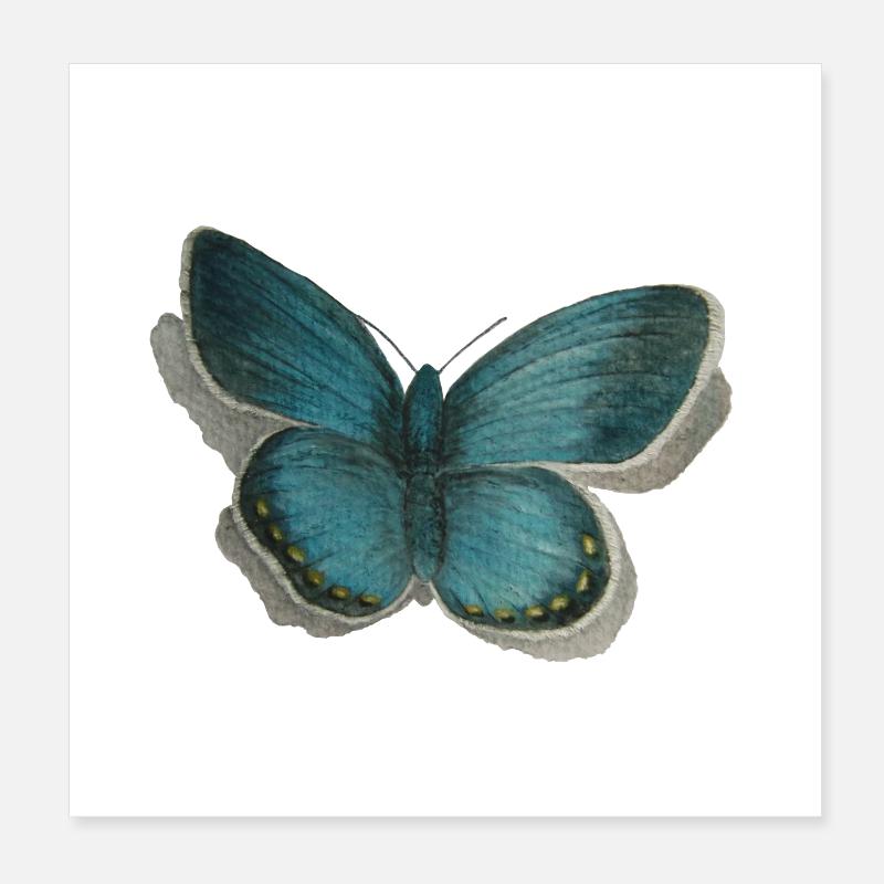 papillon Poster 20 x 20 cm
