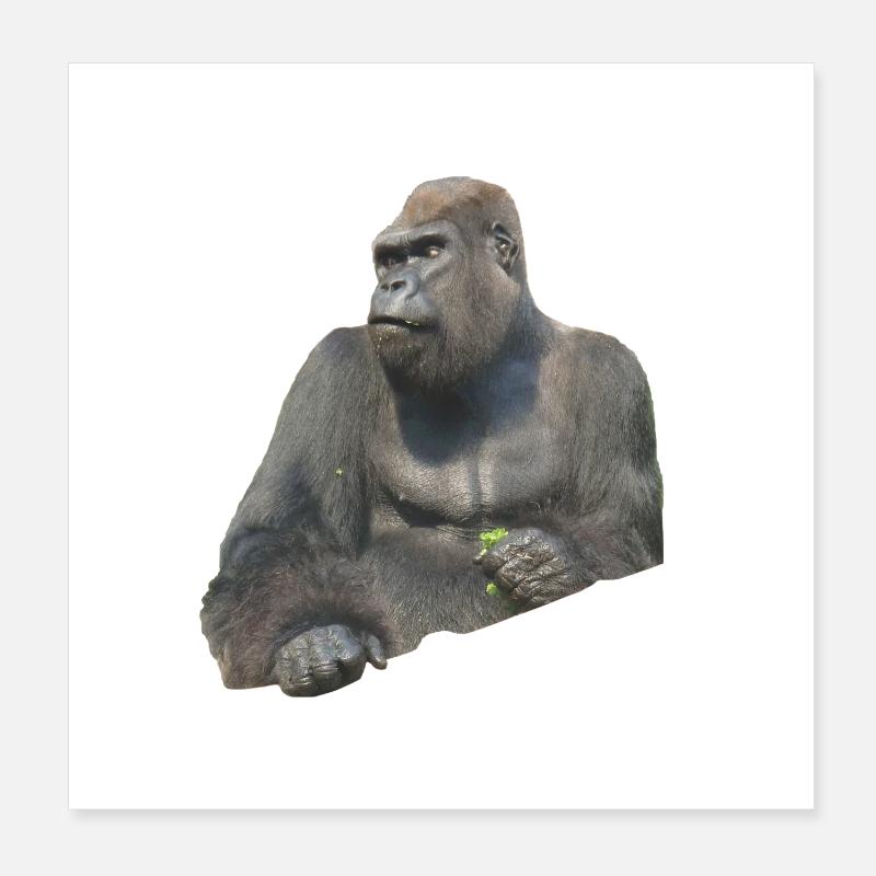 gorilla - Poster 20 x 20 cm - blanc