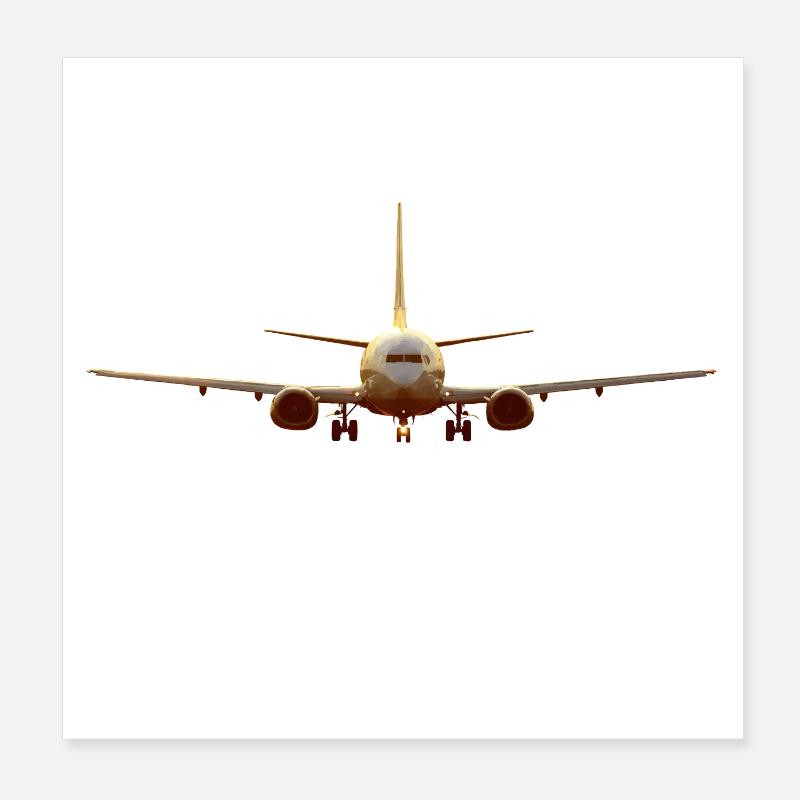 737 Poster 20x20 cm