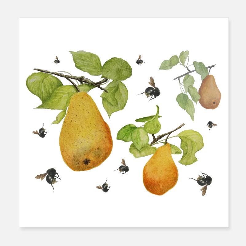 Birnen und Hummeln Poster 20x20 cm