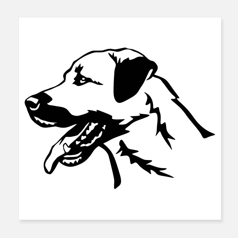 Tête de kangal Poster 20 x 20 cm